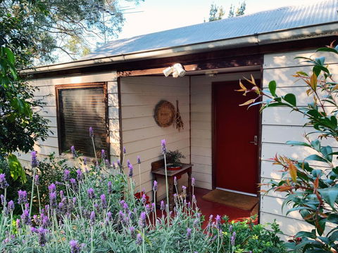 Lost In The Vines - Accommodation Main Beach 13