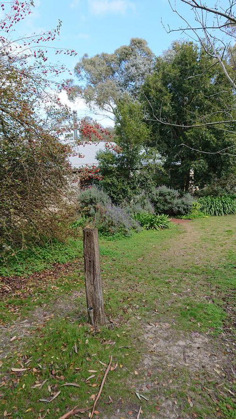 Lost In The Vines - Accommodation Main Beach 21