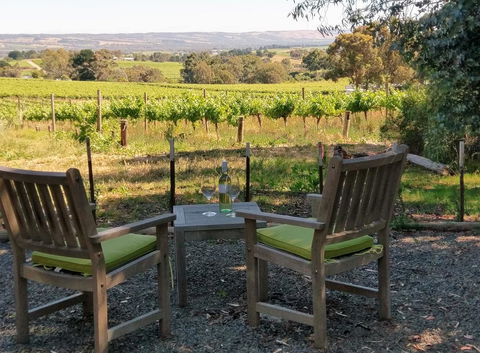 Lost In The Vines - Accommodation Main Beach 23