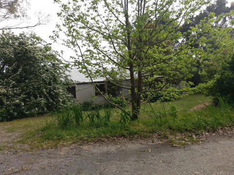 Lost In The Vines - Accommodation Main Beach 24