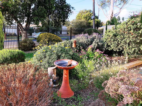 Beautiful Garden House - Accommodation Main Beach 21