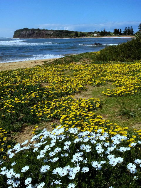 Serenity On Narrabeen Beach - 1Bdr Beachside Retreat - Accommodation Main Beach 10