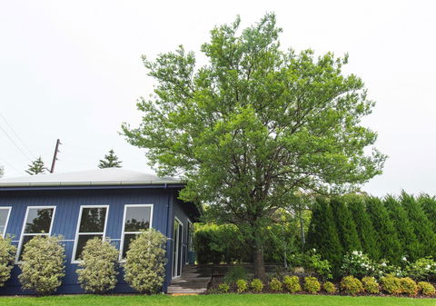 S T U D I O 22 Peaceful Retreat With Garden Views - Accommodation Main Beach 11