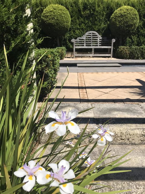 S T U D I O 22 Peaceful Retreat With Garden Views - Accommodation Main Beach 13