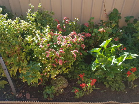 Tanunda\'s Magpie House - Accommodation Main Beach 24