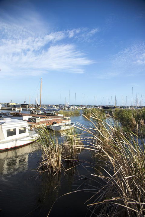 Wayfarers Cottage - Accommodation Main Beach 15