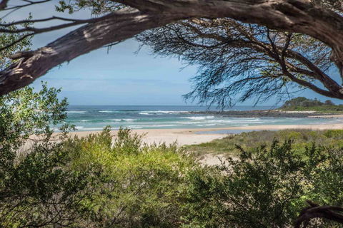 BIG4 Tasman Holiday Parks - Racecourse Beach - Accommodation Main Beach 7