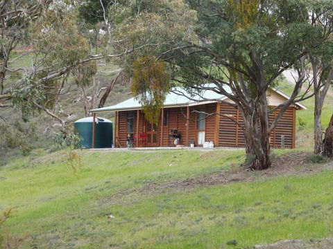 Molly's Chase - Accommodation Main Beach 16