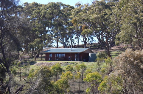 Molly's Chase - Accommodation Main Beach 0