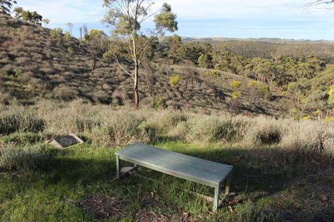 Molly's Chase - Accommodation Main Beach 31