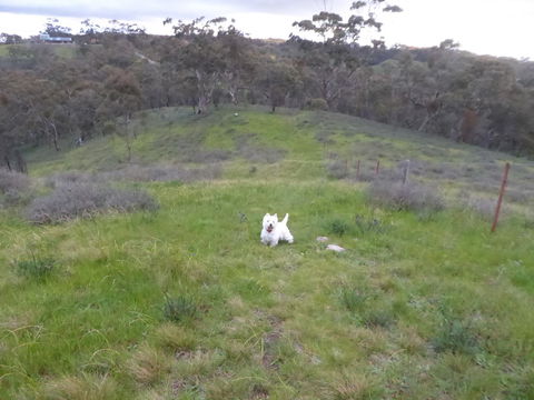 Molly's Chase - Accommodation Main Beach 22