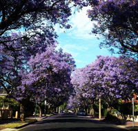 Monaco Court Apartment Adelaide - Accommodation Main Beach