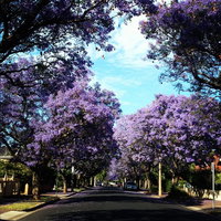 Book Wayville Accommodation Vacations Accommodation Main Beach Accommodation Main Beach