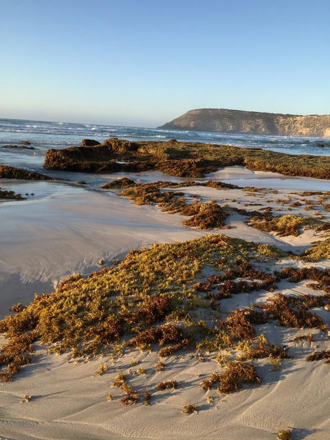 Kestrel Downs - Accommodation Main Beach 34
