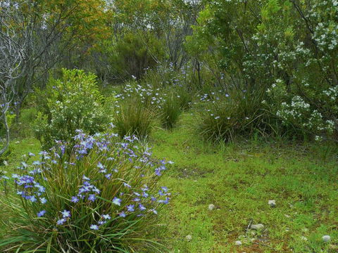 Kestrel Downs - Accommodation Main Beach 32