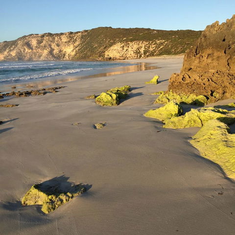 Kestrel Downs - Accommodation Main Beach 36