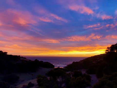 Sea Dragon Kangaroo Island - Accommodation Main Beach 14