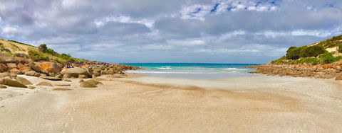 Sea Dragon Kangaroo Island - Accommodation Main Beach 16