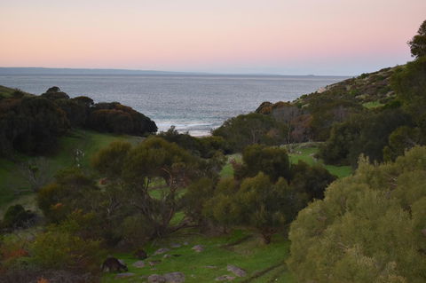 Sea Dragon Kangaroo Island - Accommodation Main Beach 30