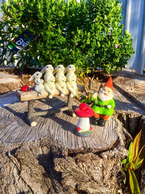 Inglenook Cottage - Accommodation Main Beach 34