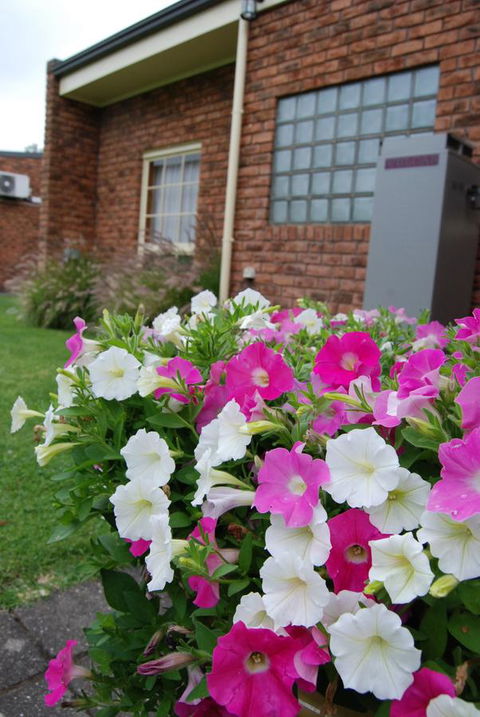 Arkana Motor Inn & Terrace Apartments - Accommodation Main Beach 40