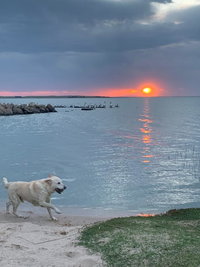 Book Meningie Accommodation Vacations Accommodation Main Beach Accommodation Main Beach