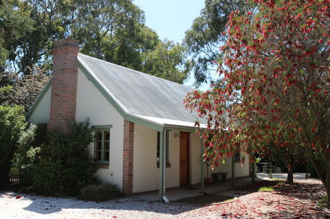 Tanunda Cottages - Accommodation Main Beach 1