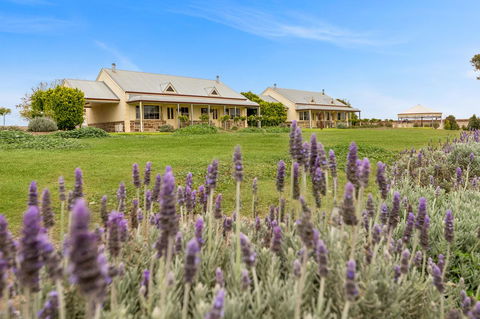 Barossa Vineyard Cottages - Accommodation Main Beach 10
