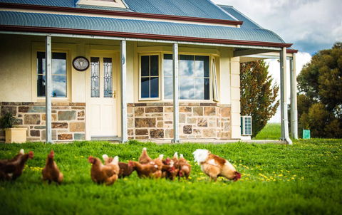 Barossa Vineyard Cottages - Accommodation Main Beach 40