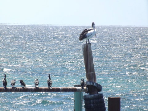 Home On Torrens - Accommodation Main Beach 10