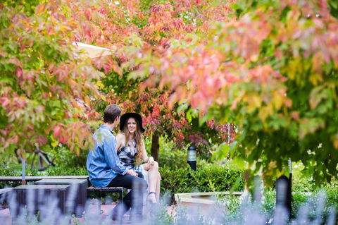 The Studios By Manna, Ascend Hotel Collection - Accommodation Main Beach 26