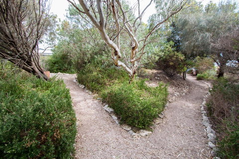 Coorong Waterfront Retreat - Accommodation Main Beach 19