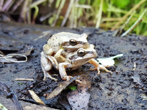Coorong Waterfront Retreat - Accommodation Main Beach 30