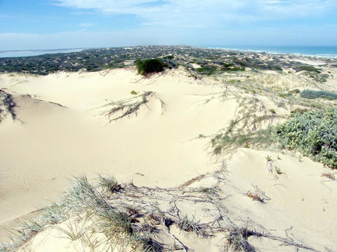 Coorong Waterfront Retreat - Accommodation Main Beach 32