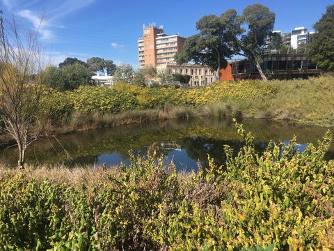 Adelaide Style Accommodation-Close To City-North Adelaide-3 Bdrm- FREE Parking - Accommodation Main Beach 40