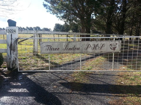 Three Linden - Accommodation Main Beach 6