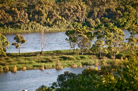 Riverview Rise Retreats - Accommodation Main Beach 25