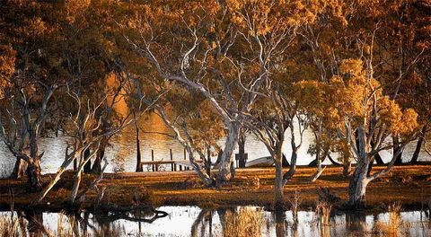 Riverview Rise Retreats - Accommodation Main Beach 4