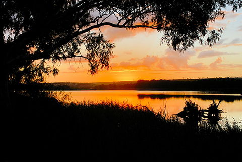 Riverview Rise Retreats - Accommodation Main Beach 12