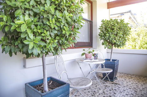 Mataro Cottage - Accommodation Main Beach 2
