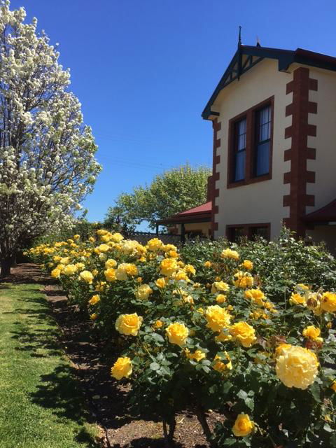 Wine And Roses Bed And Breakfast - Accommodation Main Beach 5