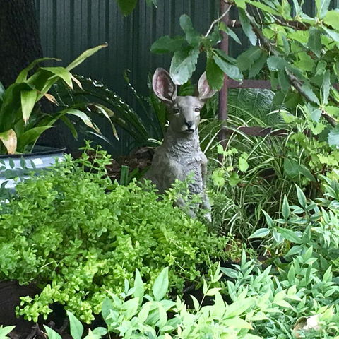Hahndorf Oak Tree Cottages - Accommodation Main Beach 12