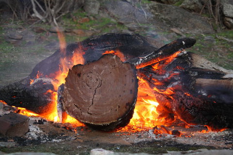 Rabbiters Hut - Accommodation Main Beach 15