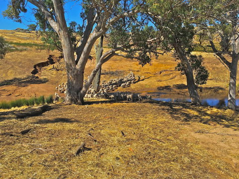 Rabbiters Hut - Accommodation Main Beach 22