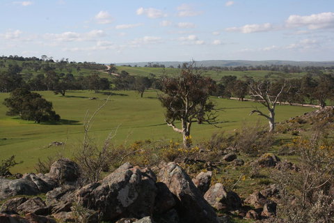 Rabbiters Hut - Accommodation Main Beach 28