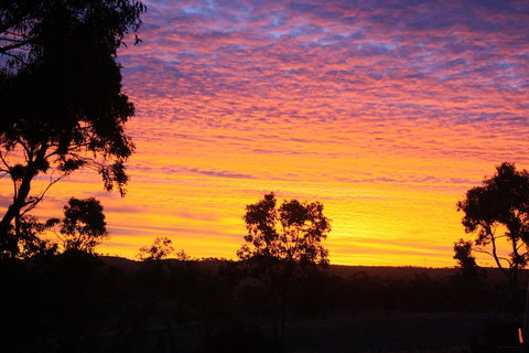 Rabbiters Hut - Accommodation Main Beach 33