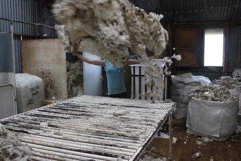 Rabbiters Hut - Accommodation Main Beach 19