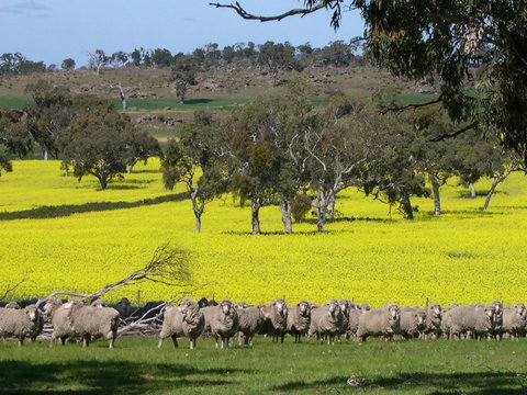 Rabbiters Hut - Accommodation Main Beach 16