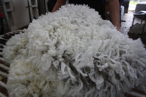 Rabbiters Hut - Accommodation Main Beach 20