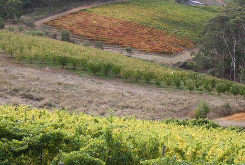 Rabbiters Hut - Accommodation Main Beach 25